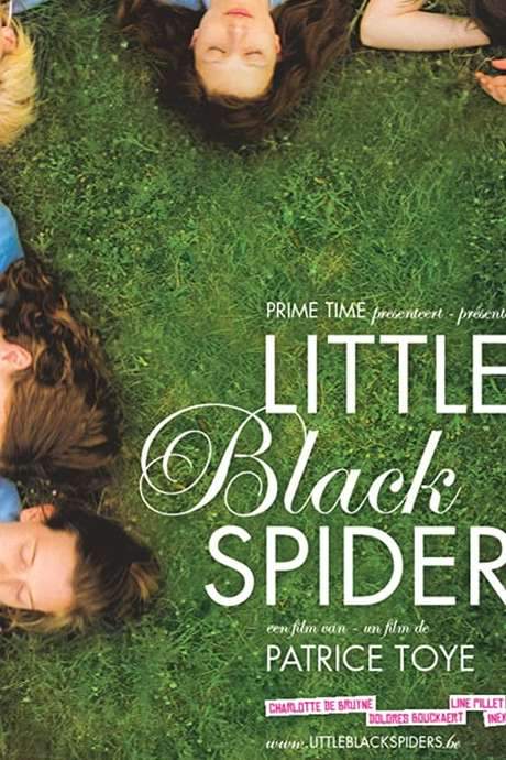 Little Black Spiders